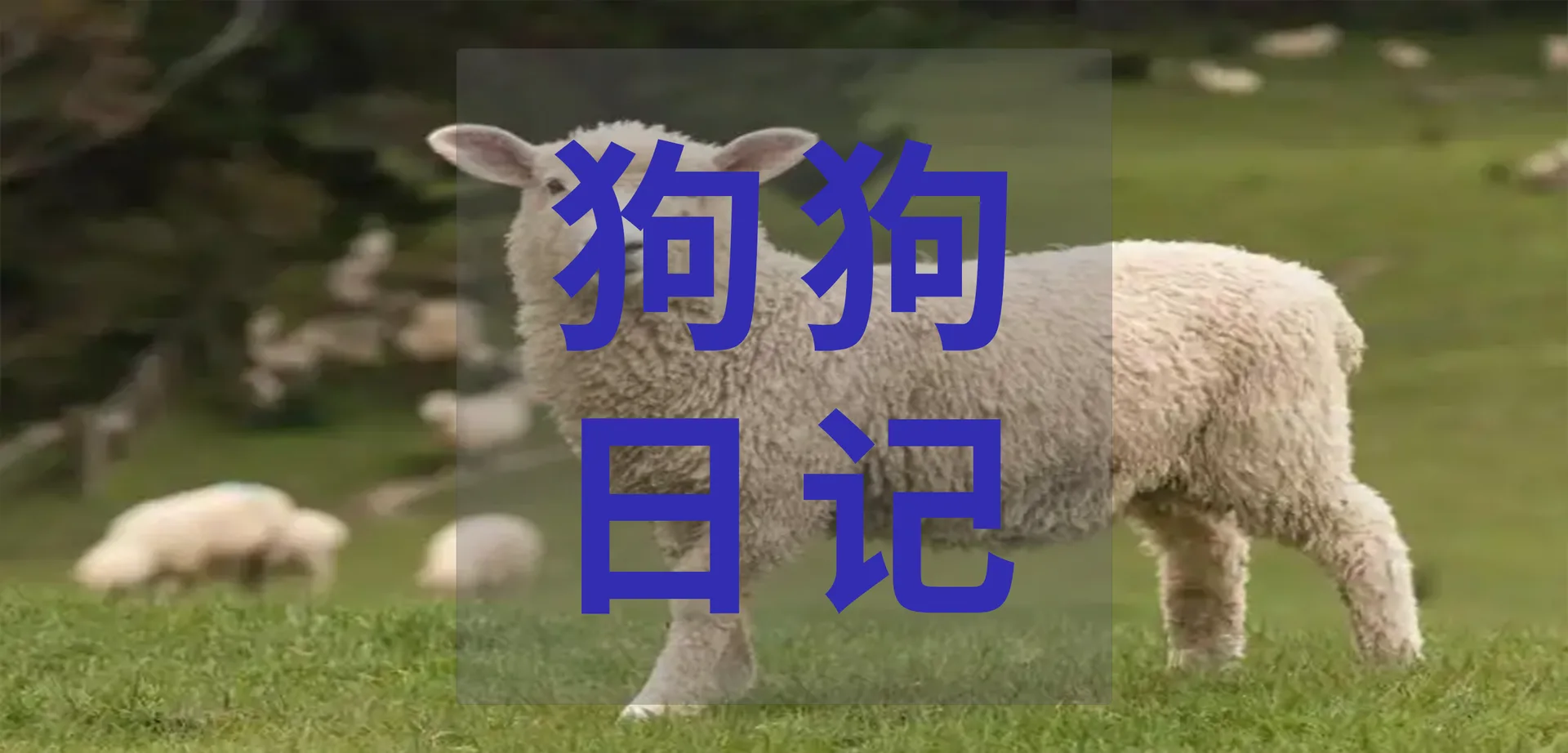 历史文章图片